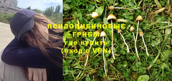 амф Абаза