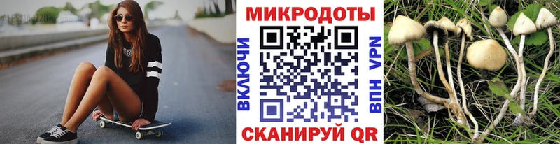 нарко площадка как зайти ссылка на мегу рабочий сайт Каменногорск Псилоцибиновые грибы мухоморы